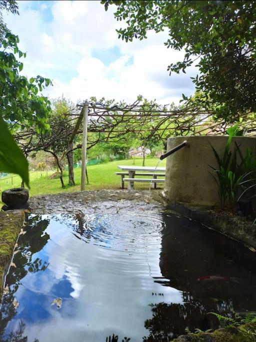 A Vina De Lina. Turismo Rural Con Piscina Y Finca. Понтеведра Экстерьер фото